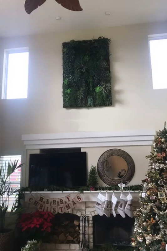 Cary Fireplace Before